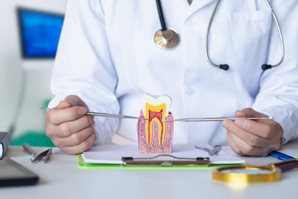 Best Emergency Dental Extractions in White Island Shores, MA